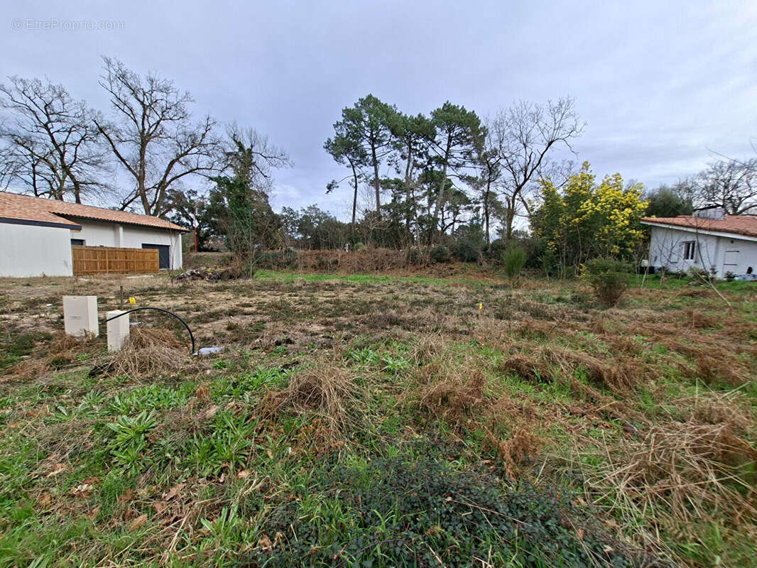 Terrain à MESSANGES
