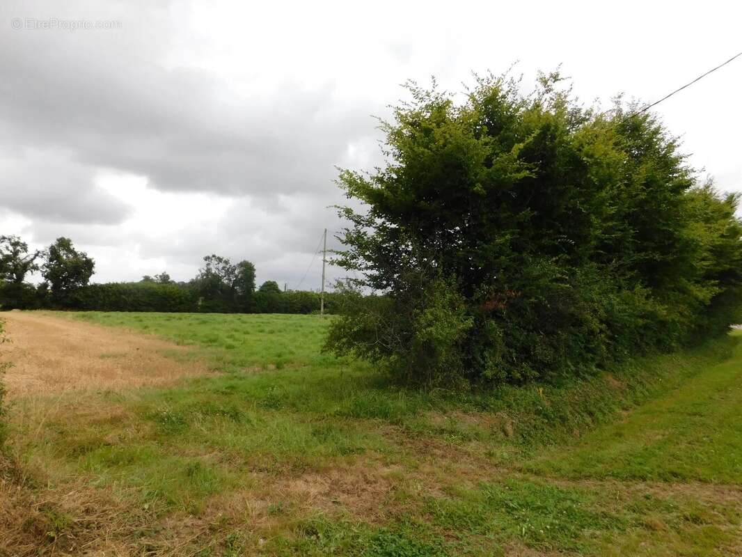 Terrain constructible - photo 2
