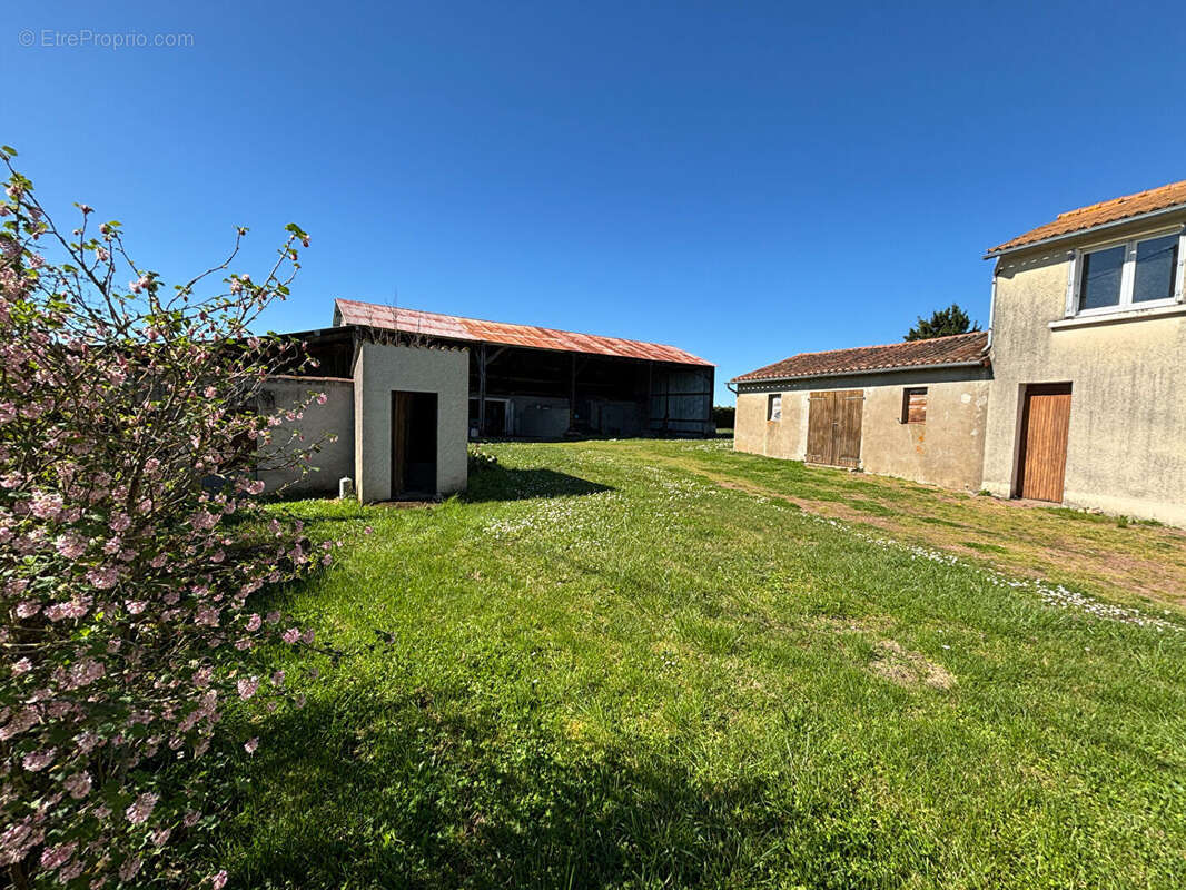 Maison à MONTREUIL-BELLAY