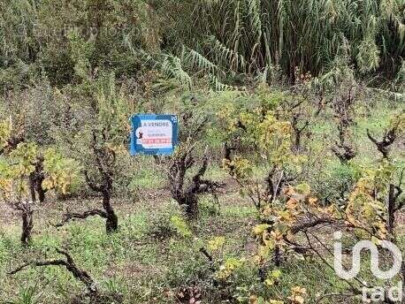 Photo 2 - Terrain à PIERREFEU-DU-VAR