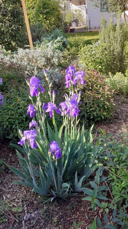 Appartement à PREFAILLES