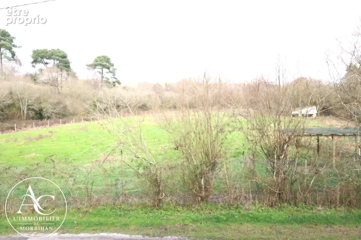 Maison avec dépendances et 10 000 m2 de terrain agricole. - photo 6