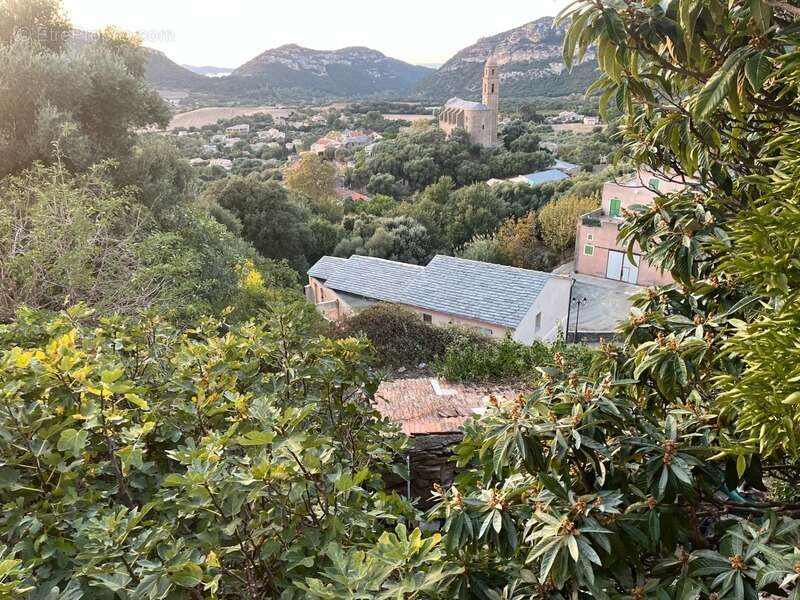 Terrain à PATRIMONIO