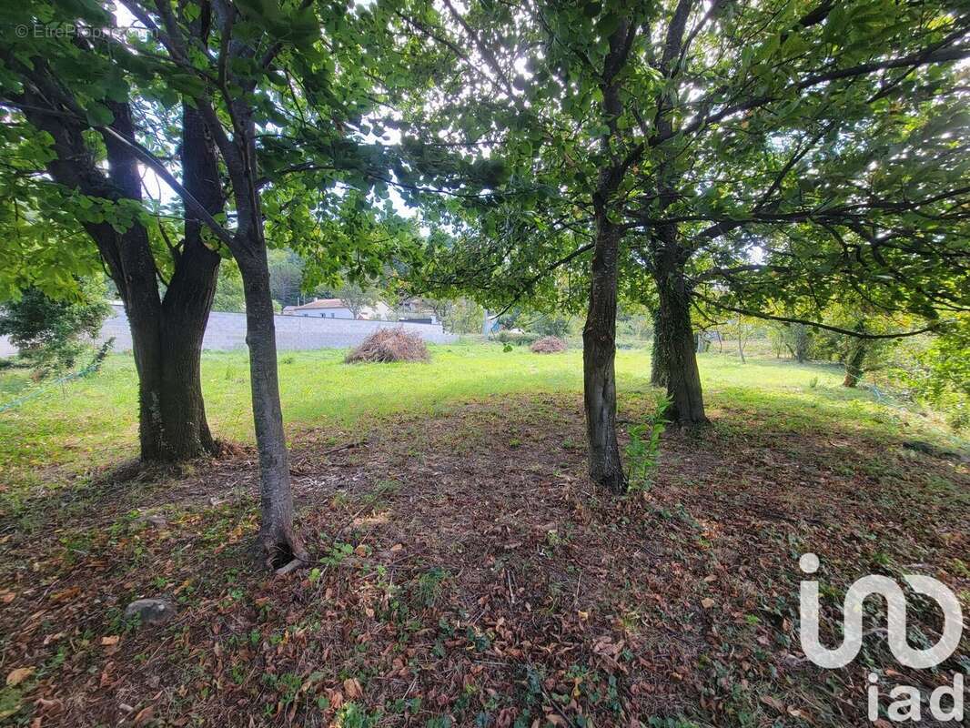 Photo 2 - Terrain à THUEYTS