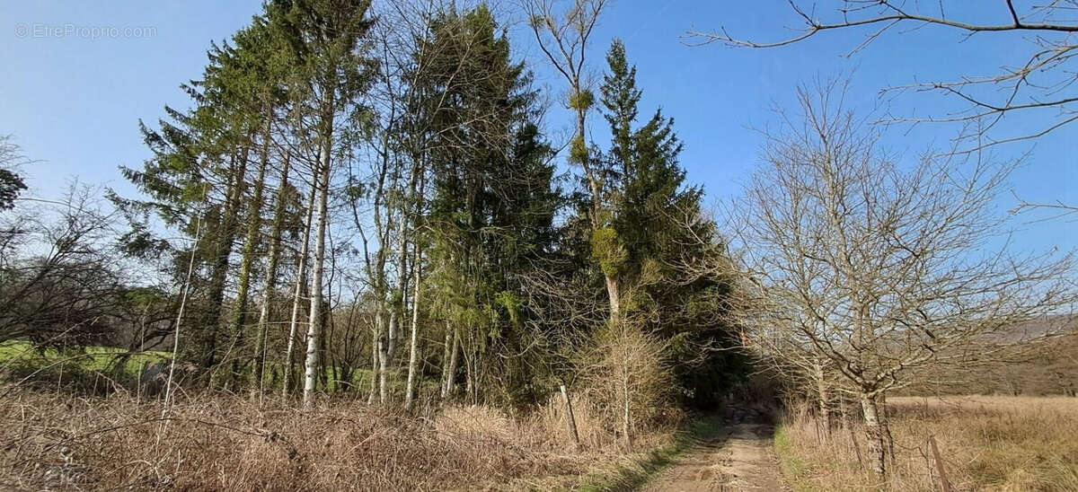 Terrain 2455 m² à Gernelle  - photo 3