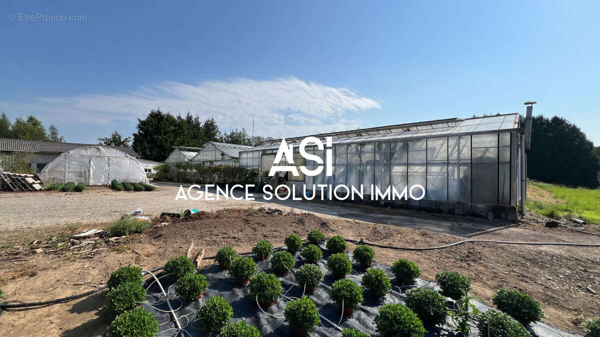 Terrain à LA FERTE-MACE