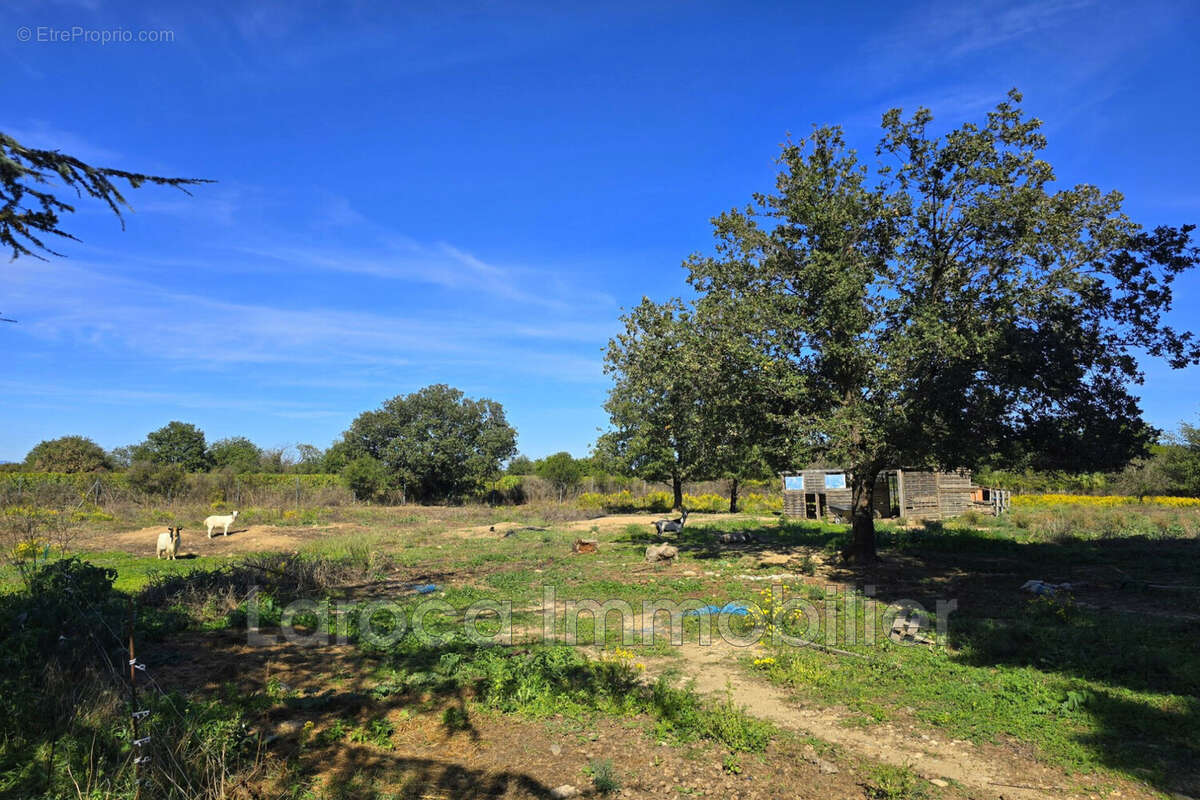 Maison à LAROQUE-DES-ALBERES