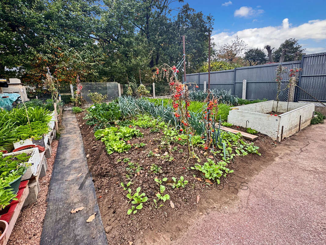 Maison à SAINT-AUBIN-LES-ELBEUF