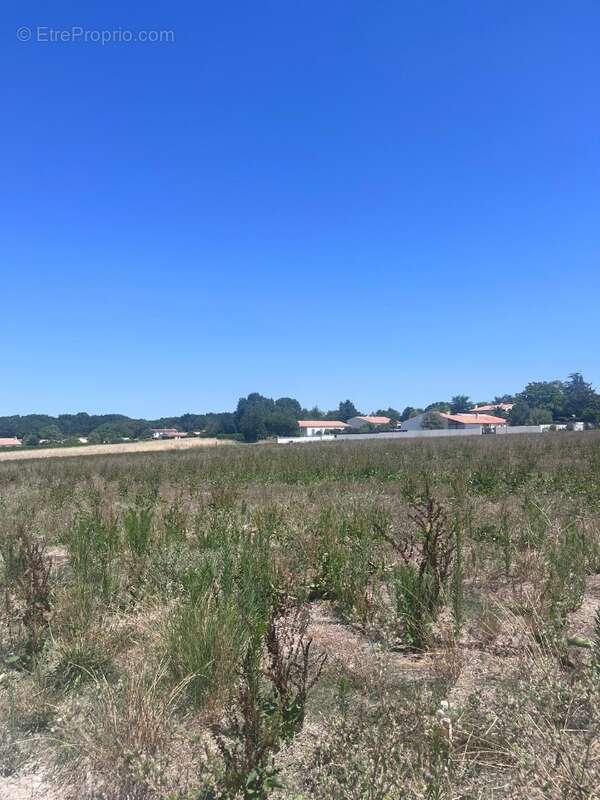 Terrain à SAUJON