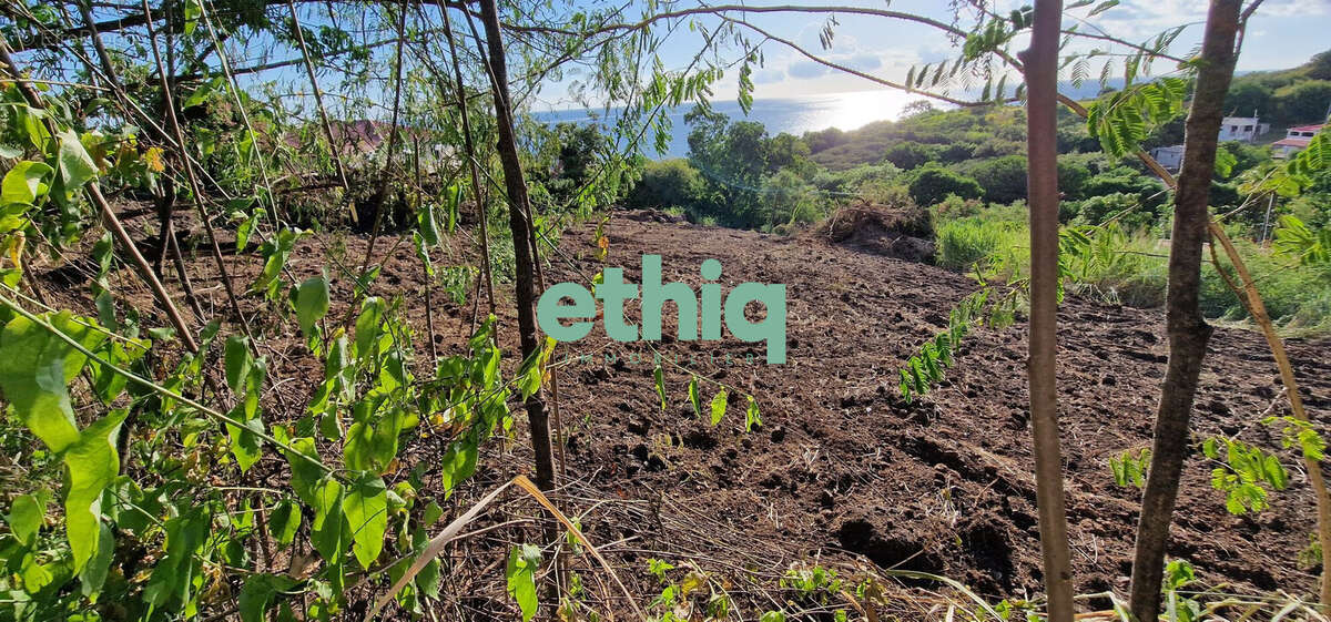 Terrain à VIEUX-HABITANTS