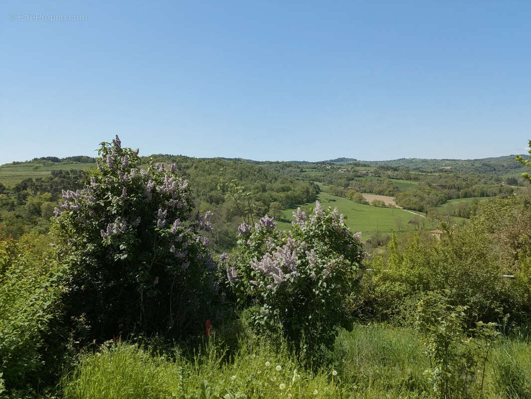 Maison a vendre saint germain laval - 141 m² - 5 chambres possibles - cave - jardin - photo 4