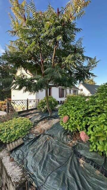 Maison à SAINT-RIQUIER