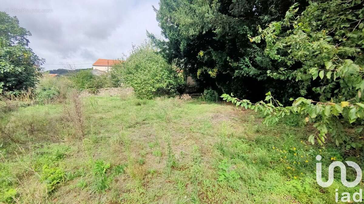Photo 3 - Maison à LABASTIDE-ROUAIROUX