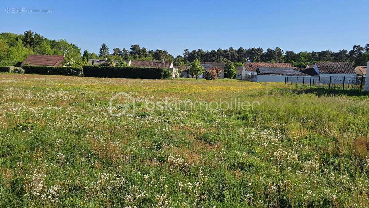 À VENDRE – Terrain Viabilisé à BRAY-SAINT-AIGNAN (45460) - photo 2