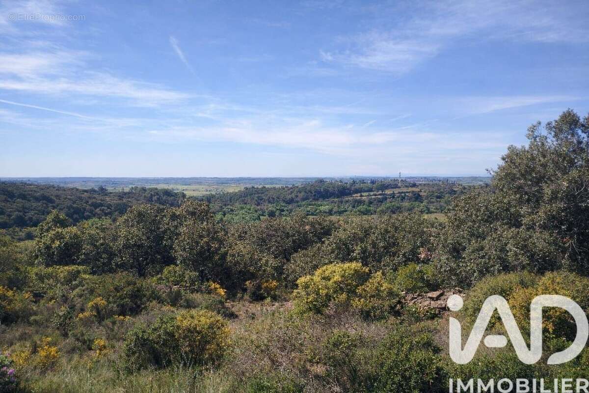 Photo 4 - Terrain à NEFFIES