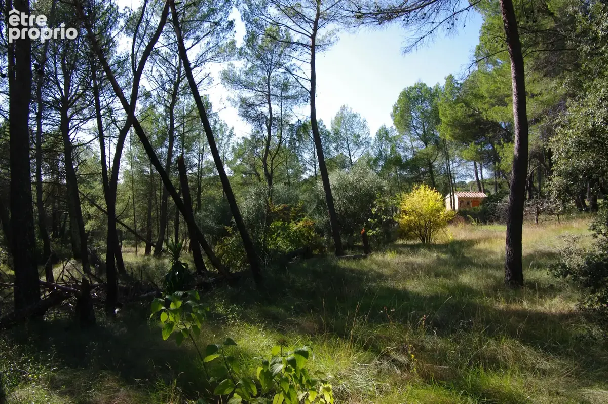 Villecroze- maison t6- 4 chambres- piscine-garages-sous-sol-terrain 5193 m2 - photo 3