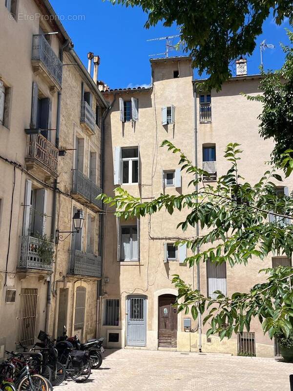 Photo 1 - Appartement à MONTPELLIER