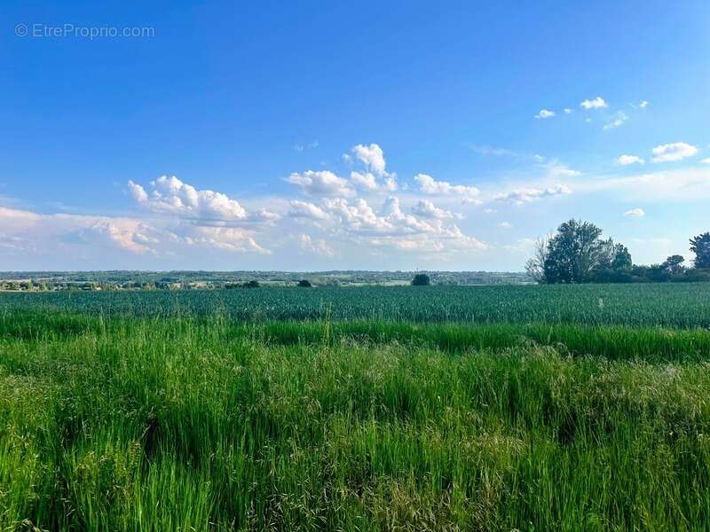 Terrain à LAPEYROUSE-FOSSAT