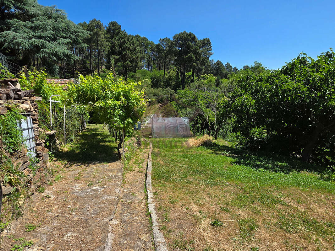 Mas en pierres sur les hauteurs - photo 21