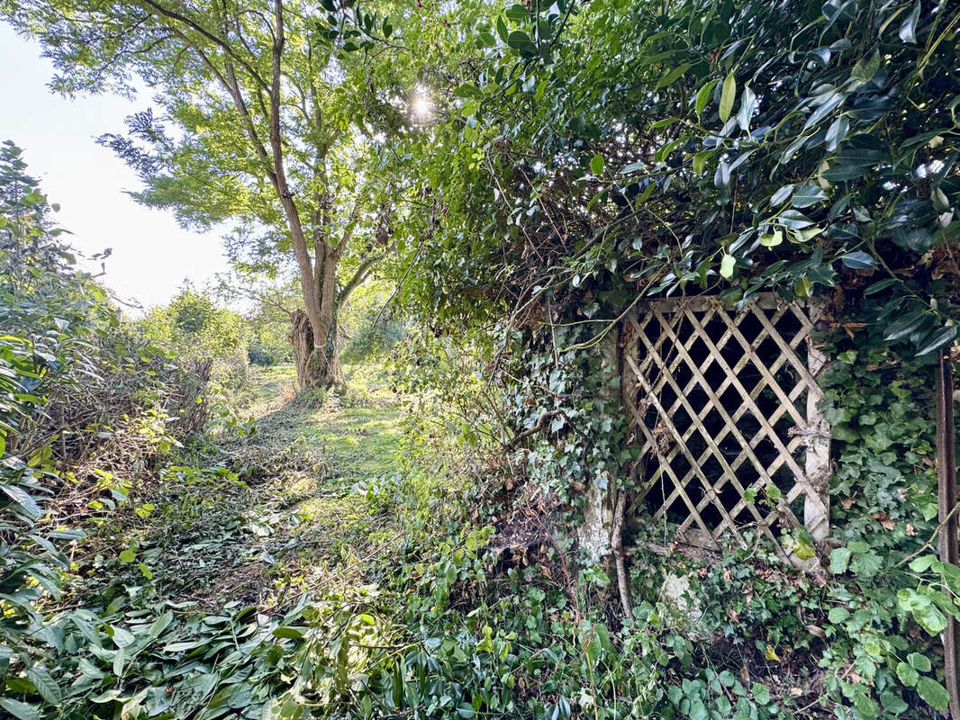 Maison à COULOMMIERS