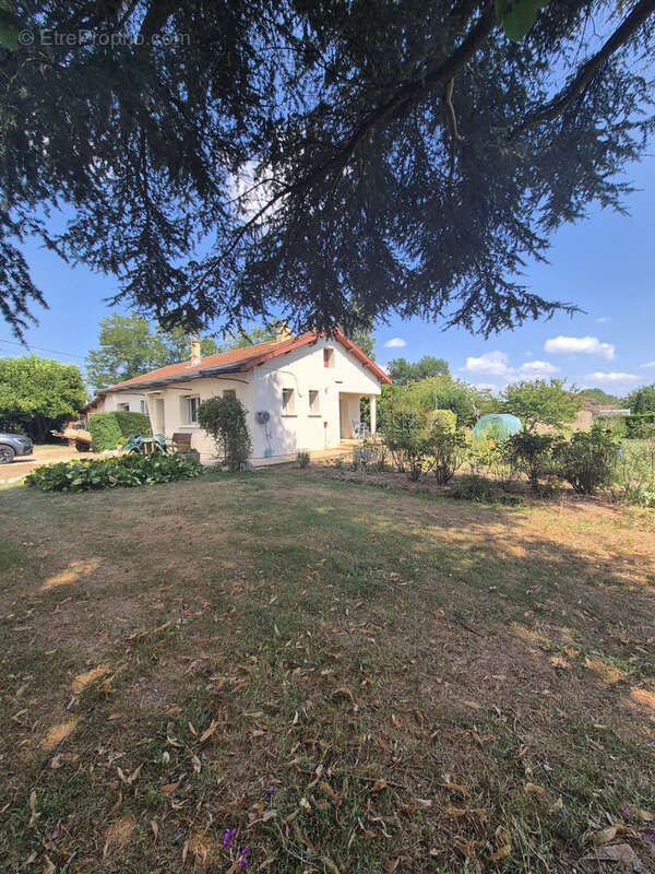 Maison de plain-pied avec 2 644 m2 de terrain st jean sur veyle - photo 8