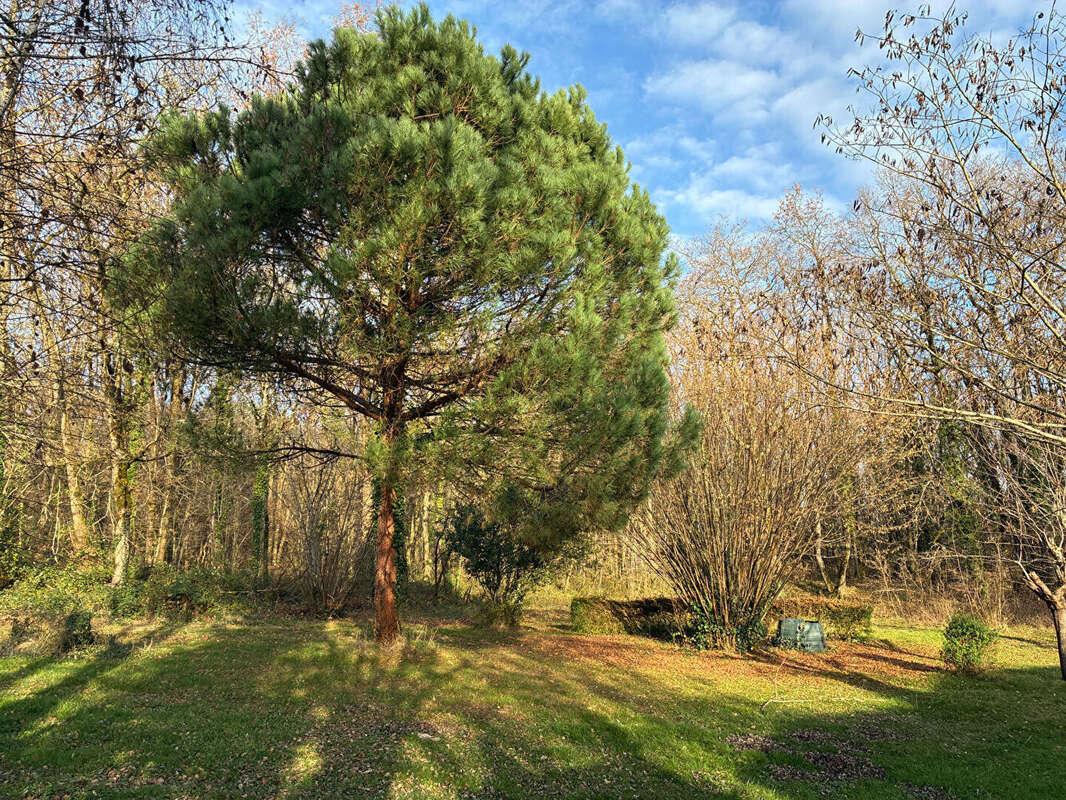 Maison à MONTASTRUC