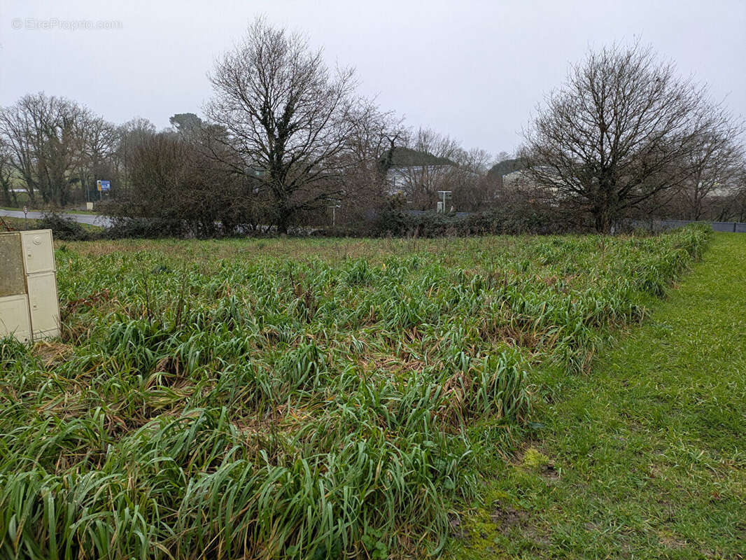 Terrain à HERBIGNAC