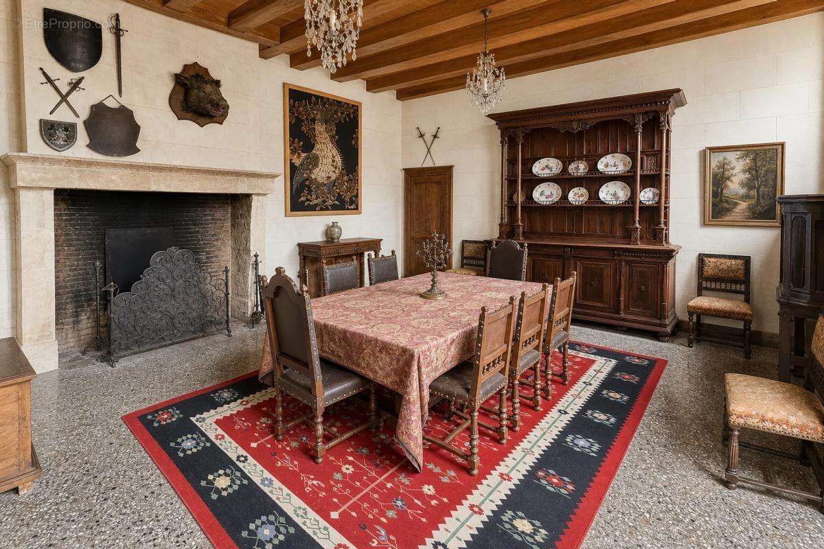 Majestueux Hôtel Particulier à Châtillon-sur-Indre - photo 5