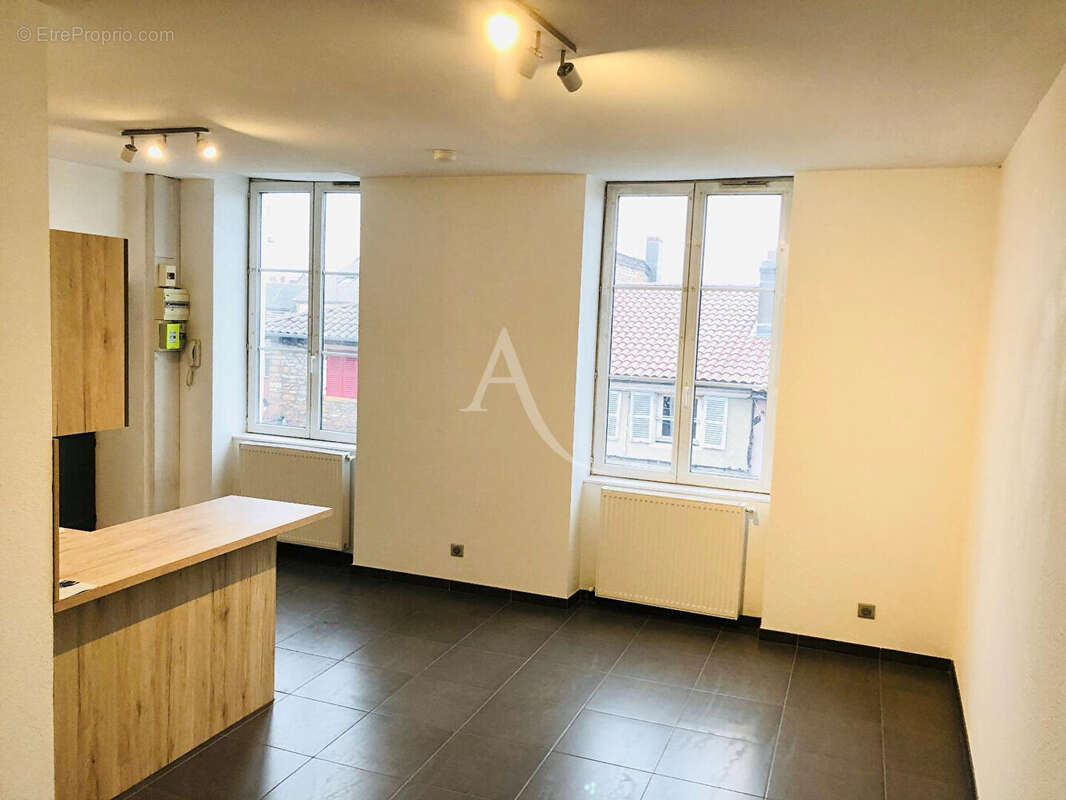 Appartement à SAINT-LAURENT-SUR-SAONE