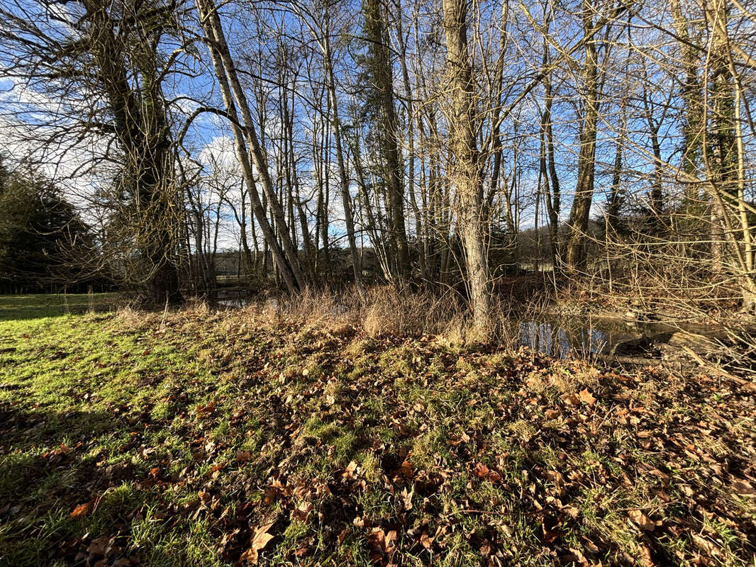 Au coeur du parc national à 9km de CHATILLON SUR SEINE ( 21)  :habitation de 450 M2 avec 1,5HA bord d'eau - photo 14
