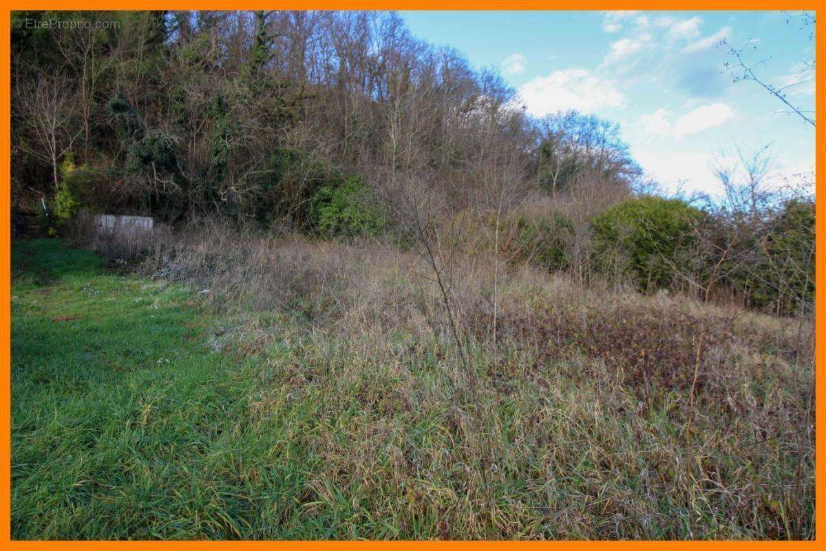 Terrain 1395 m² à Montluel  - photo 2