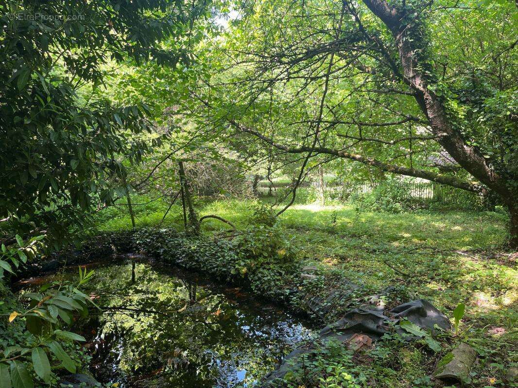 Propriété à vendre sur la commune de CORBELIN (38630) - photo 17