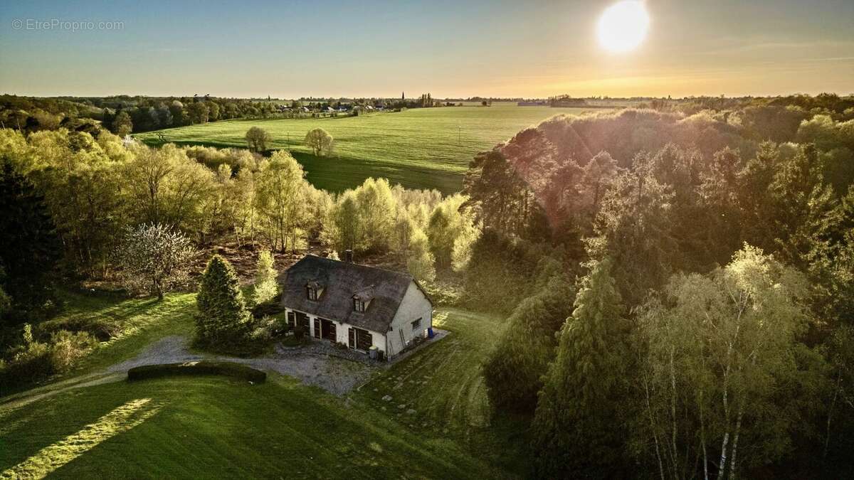 Maison neo-norman de 3ch - 7ha de terrain dont foret - sous-sol - photo 2