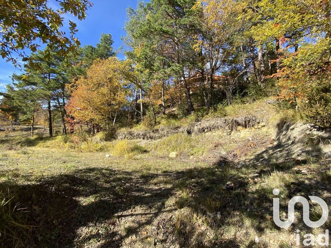Photo 3 - Terrain à ANDON