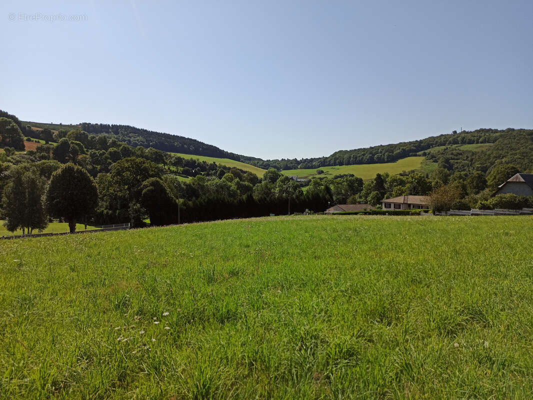 Terrain à LA SALVETAT-SUR-AGOUT