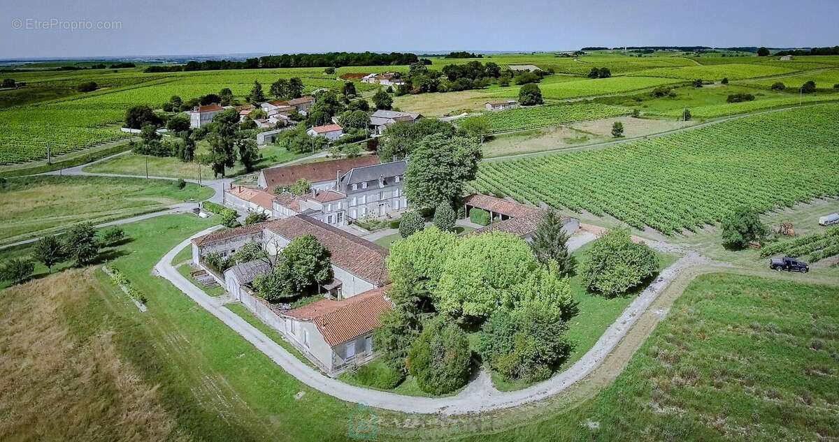 Magnifique propriete avec maison de maitre et dependances sur  + de 3 ha - photo 2