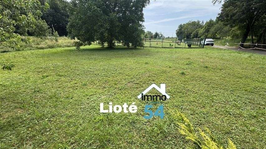 Terrain à CREVECHAMPS