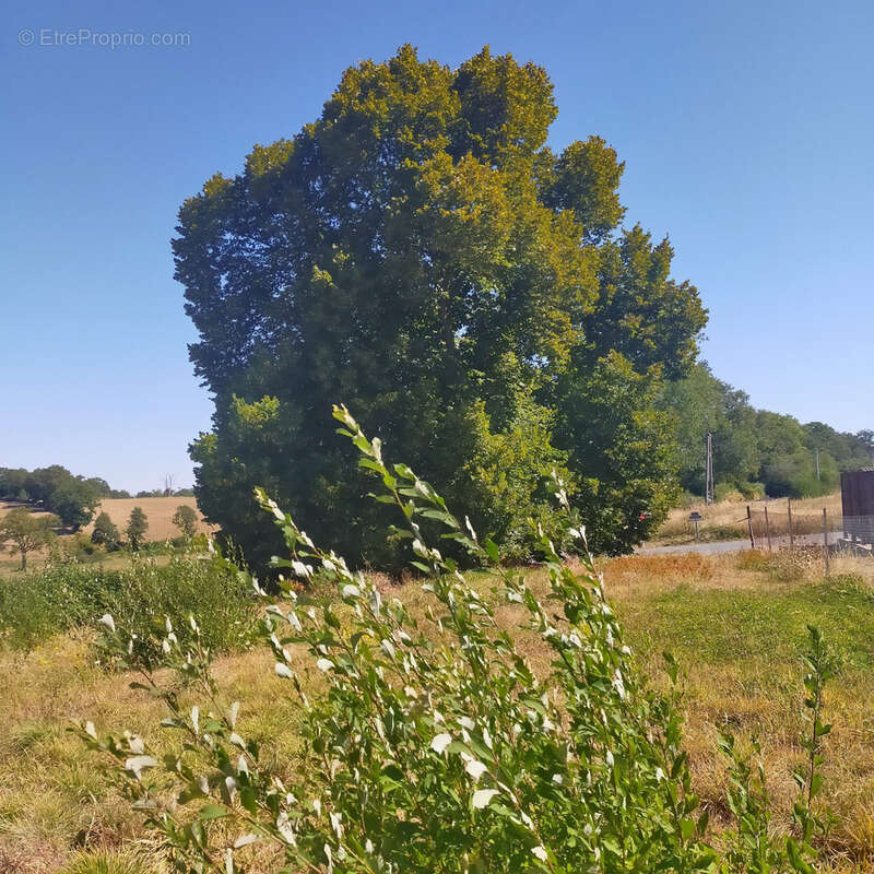 Maison de campagne ! - photo 15