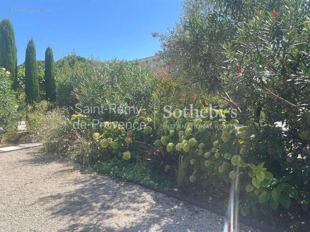 Maison à SAINT-REMY-DE-PROVENCE