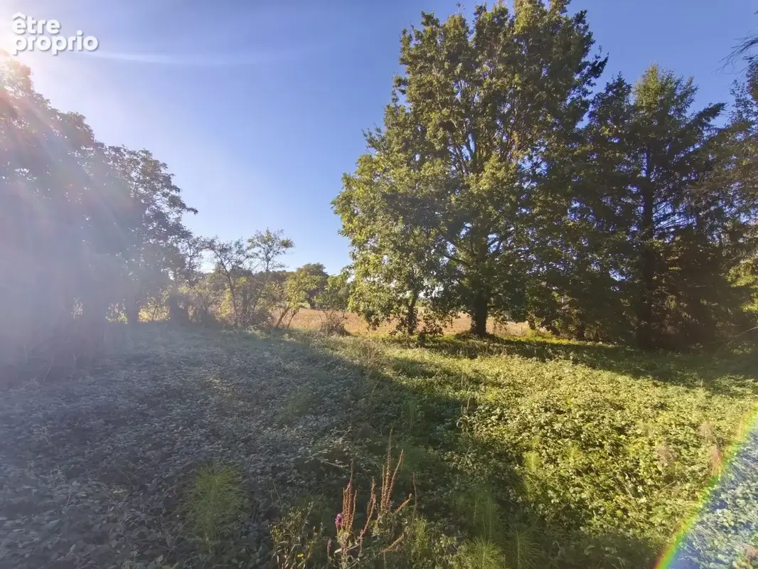 À VENDRE   Terrain constructible de 3 599 m2 avec bâtiment à rénover   Polliat - photo 5