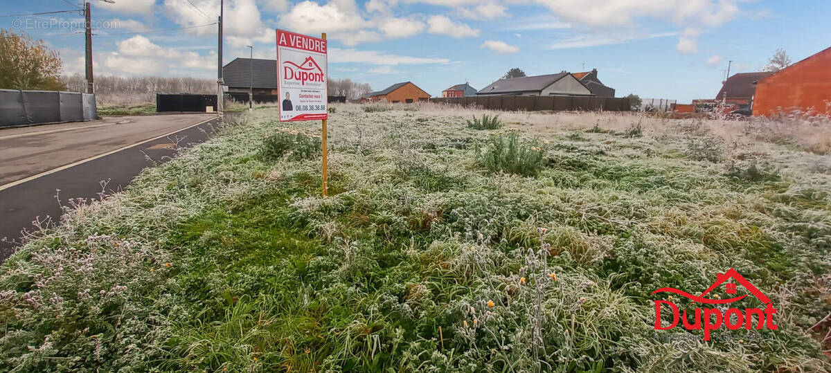 Terrain à ESCAUDAIN