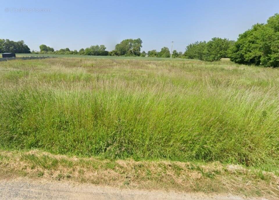Terrain à NEUILLE-PONT-PIERRE