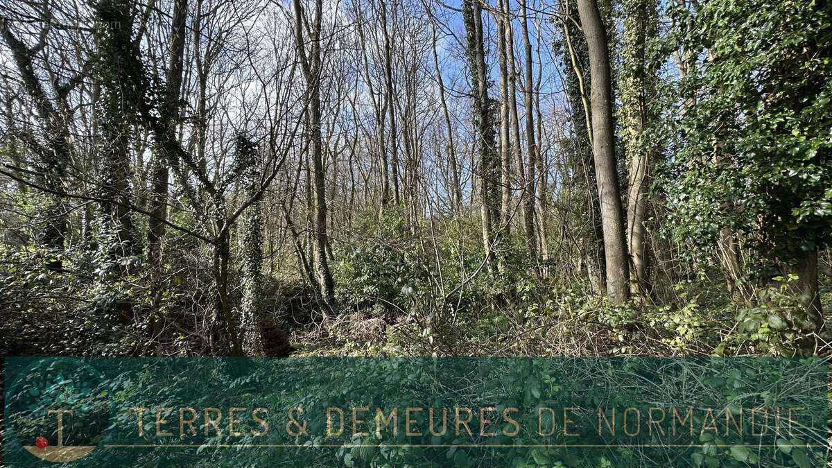 Terrain à VARENGEVILLE-SUR-MER