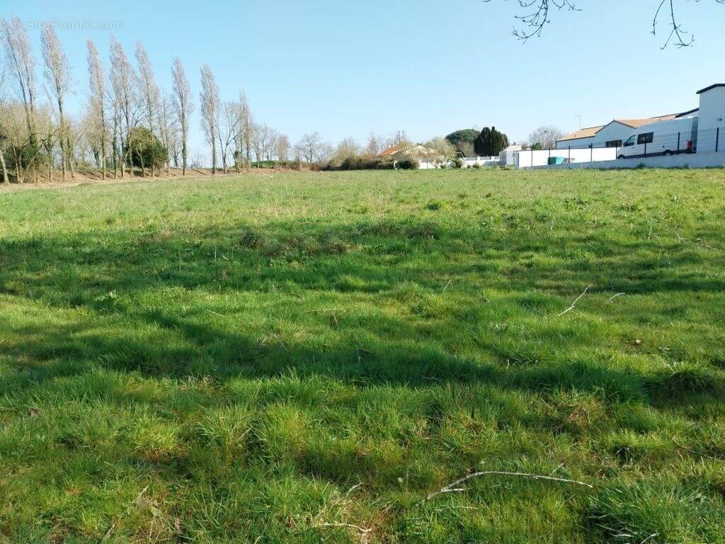 Terrain à LA MOTHE-ACHARD