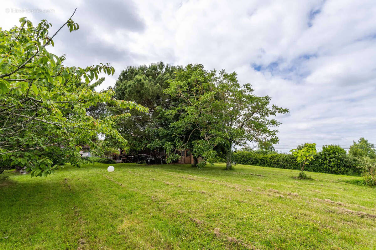 Country property to renovate - photo 9