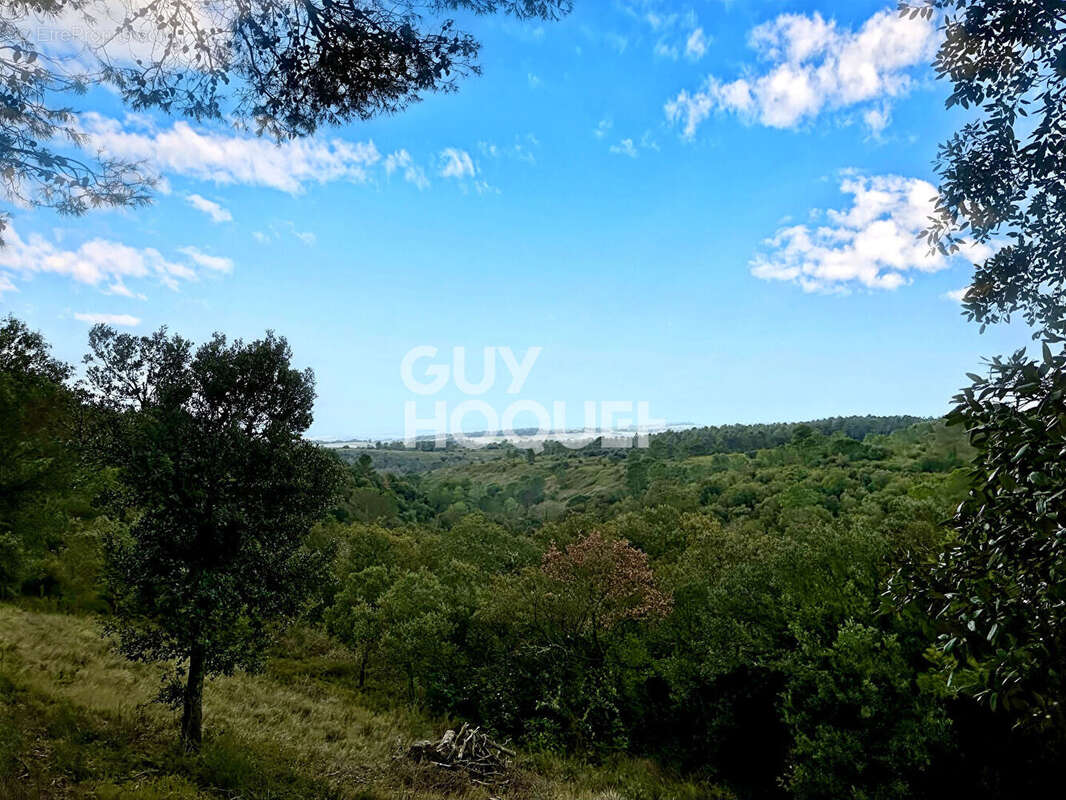 Maison à CARCASSONNE