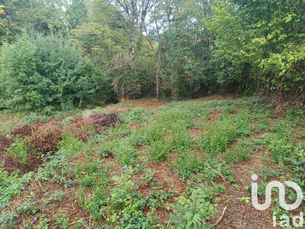 Photo 8 - Maison à SAINT-MARTIN-VALMEROUX