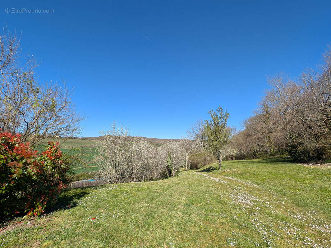 Maison à CORDES-SUR-CIEL
