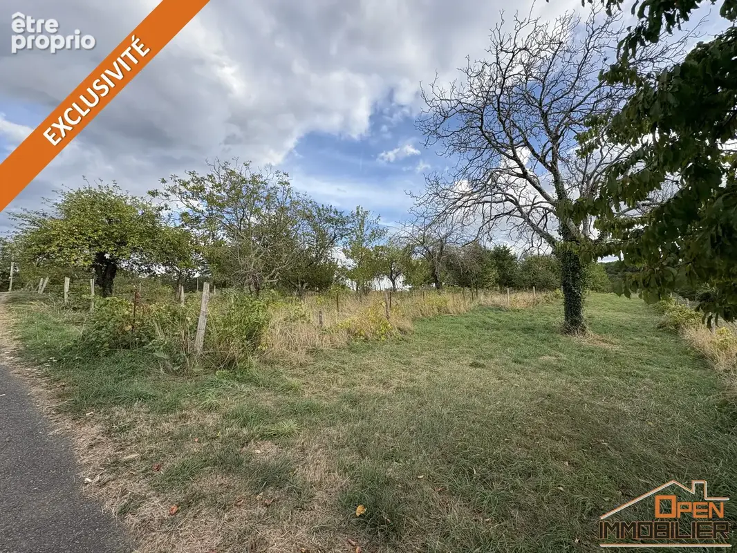 Terrain 4 028 m² à vendre à Jayac (24590) - photo 3