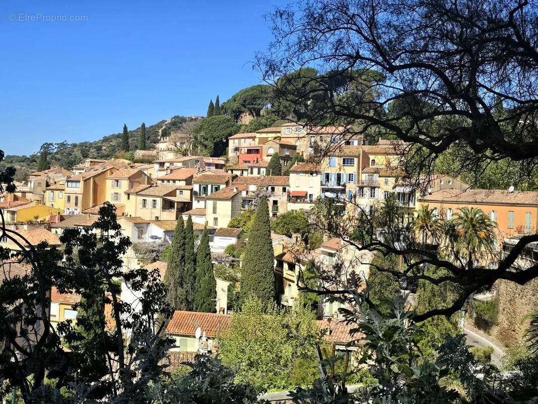 Commerce à BORMES-LES-MIMOSAS